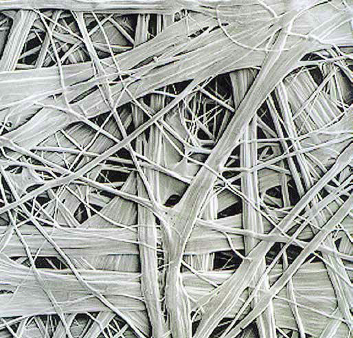 防水透氣膜高倍顯微鏡下的纖維結(jié)構(gòu)